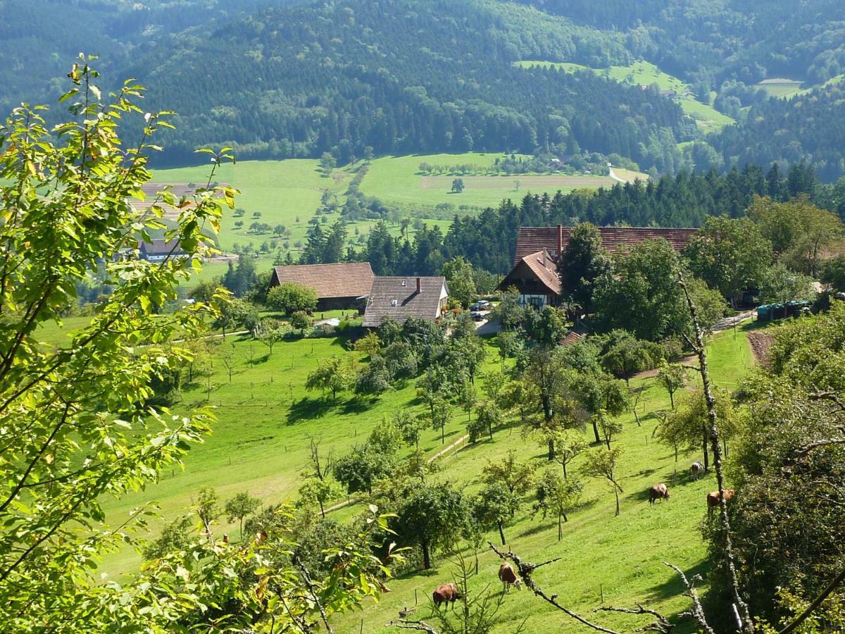 Ferienhaus Eck Βίλα Zell am Harmersbach Εξωτερικό φωτογραφία