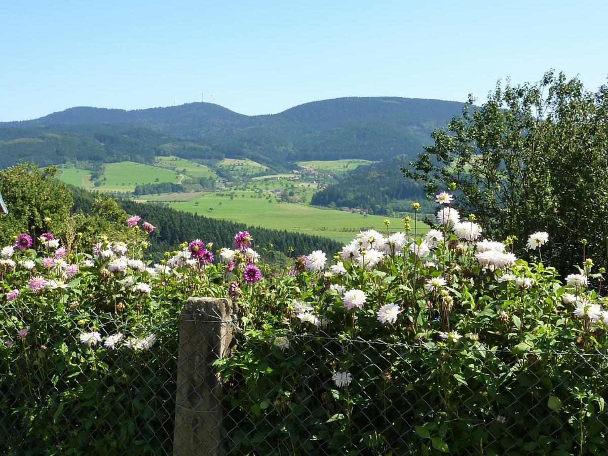 Ferienhaus Eck Βίλα Zell am Harmersbach Εξωτερικό φωτογραφία